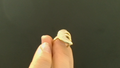 Anillos de mujer Fancy 10k Zirconia small Size Size 8