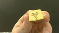 Anillos de hombre Animals men rings 10k Size Size 12