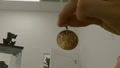 Dijes Medalla Santo Caridad medium dos tonos 10k Weight 3.36g