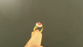 Anillos de mujer Princesa Diana 10k Red medium circle Size Size 7 Weight 3.4g