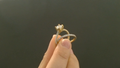 Anillos de compromiso Fancy doble con zirconia 10k Zirconia small and big solitario Size Size 7 Weight 3.93g