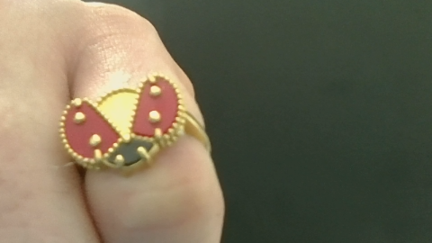 Anillos de mujer Animals rings 10k Red and black stone Size Size 7 Weight 2.71g